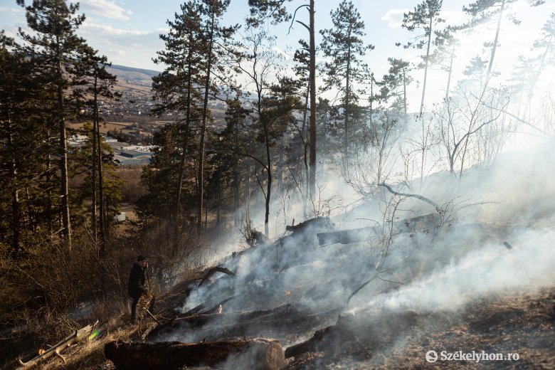 Az erdőtüzek szempontjából az idei a legrosszabb év 2006 óta Európában