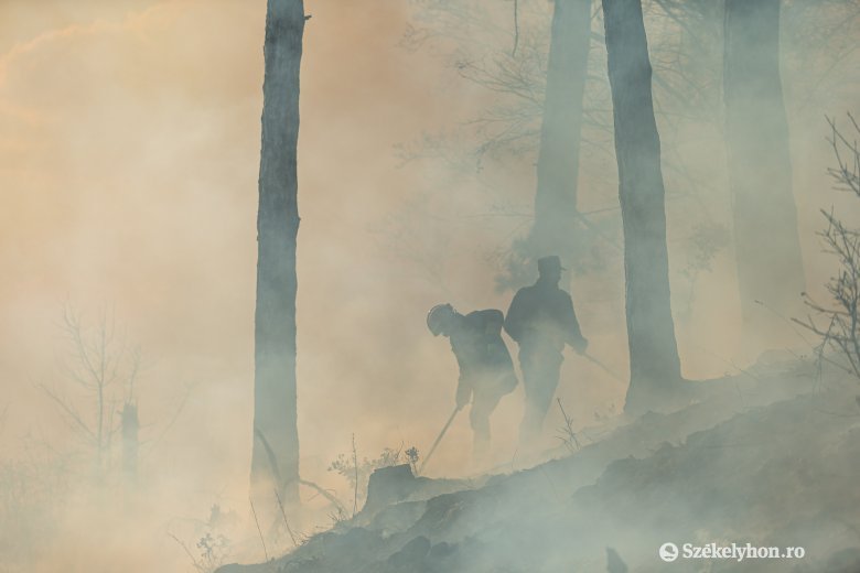 Fotókon a Székelyudvarhely melletti erdőtűz