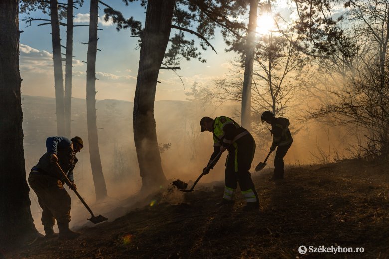 Emberek százait evakuálták Tenerifén, Romániában is pusztítanak az erdőtüzek