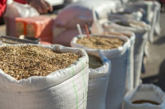 Az ukrán gabona behozatali tilalmának akár egyoldalú meghosszabbítására kérik a gazdák a román kormányt
