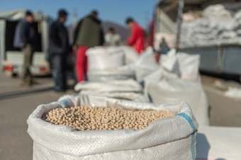 Több mint kétmilliárd euró értékben exportált Románia gabonaféléket és gabonakészítményeket az első öt hónapban