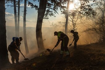 Emberek százait evakuálták Tenerifén, Romániában is pusztítanak az erdőtüzek