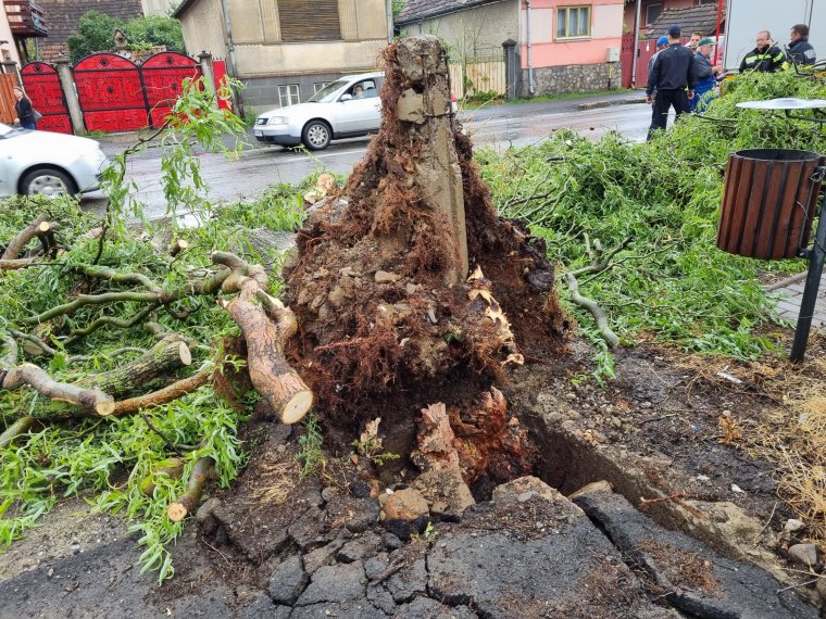 Viharkárok Székelyudvarhelyen is – kidőlt fának ütközött egy autó