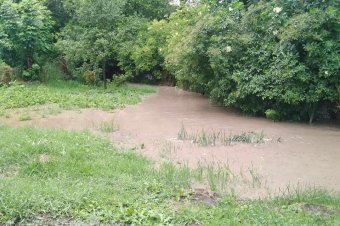 Súlyos az árvízhelyzet, Szatmár megyében harmadfokú riasztást rendeltek el
