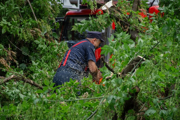 Fákat döntött ki a vihar hétfő éjszaka több Hargita megyei településen