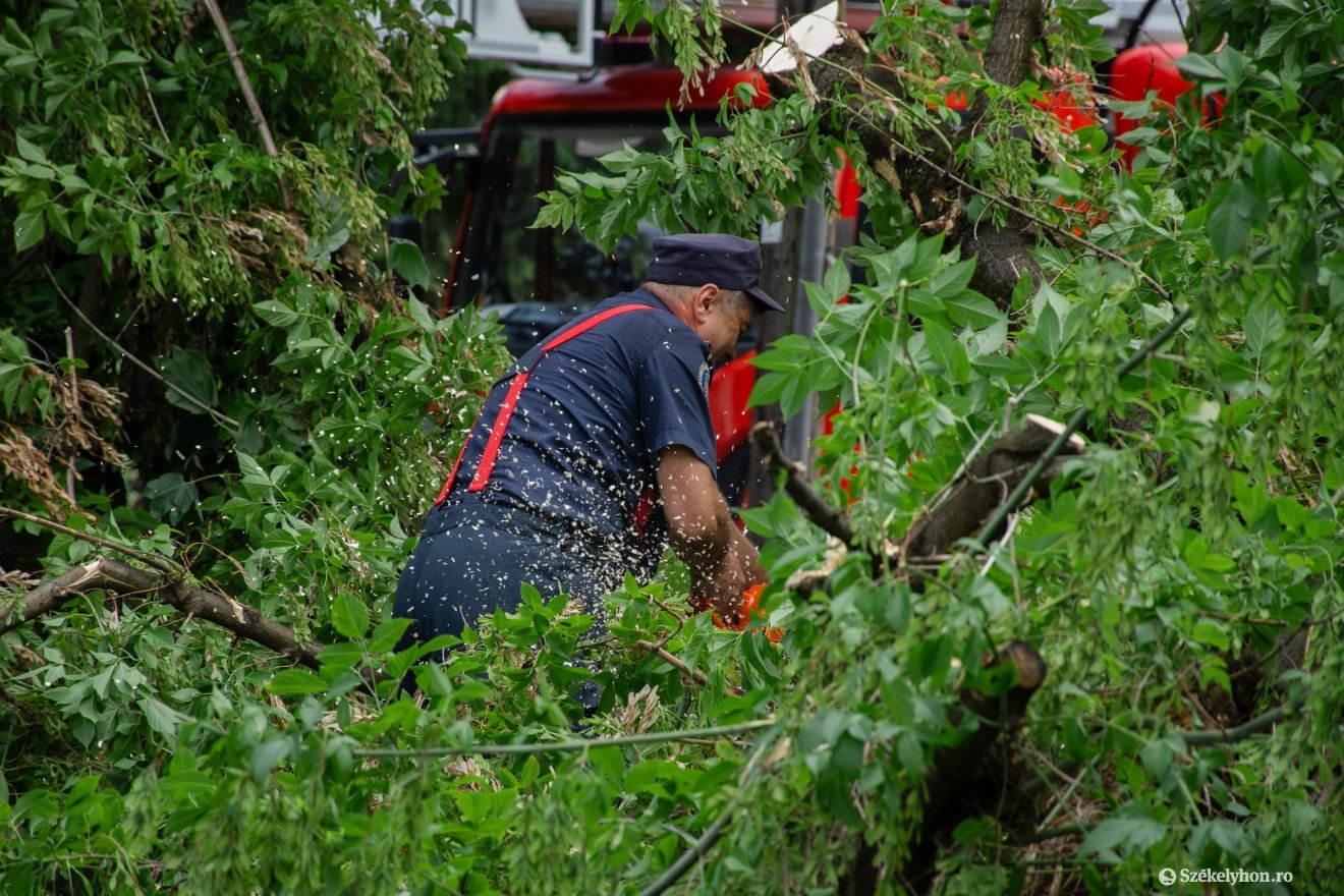 Fákat döntött ki a vihar hétfő éjszaka több Hargita megyei településen