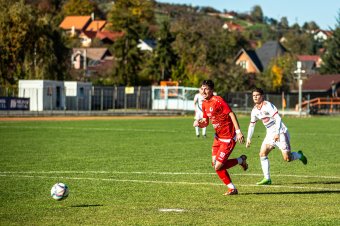 Hangzatos sikerrel szakította meg rossz hazai sorozatát a Székelyudvarhelyi FC