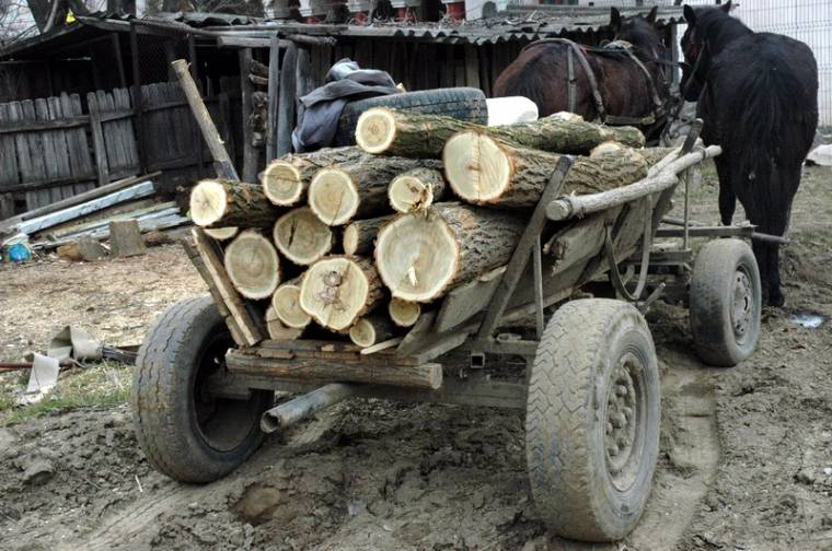 Megugrott az illegális fakivágások száma Maros megyében