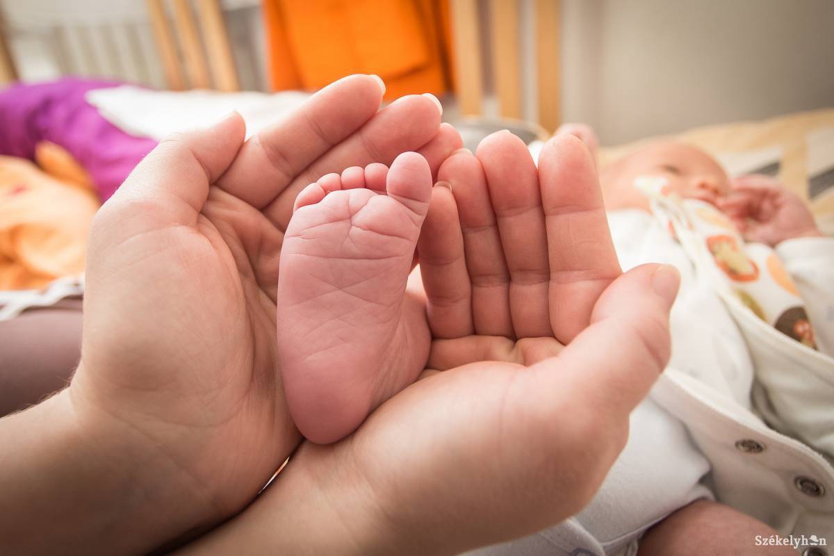 Félszázan születtek egy hét alatt a marosvásárhelyi kórházban
