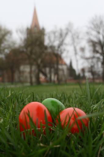 Legalább 170 millió tojást vásárolnak húsvétra Romániában