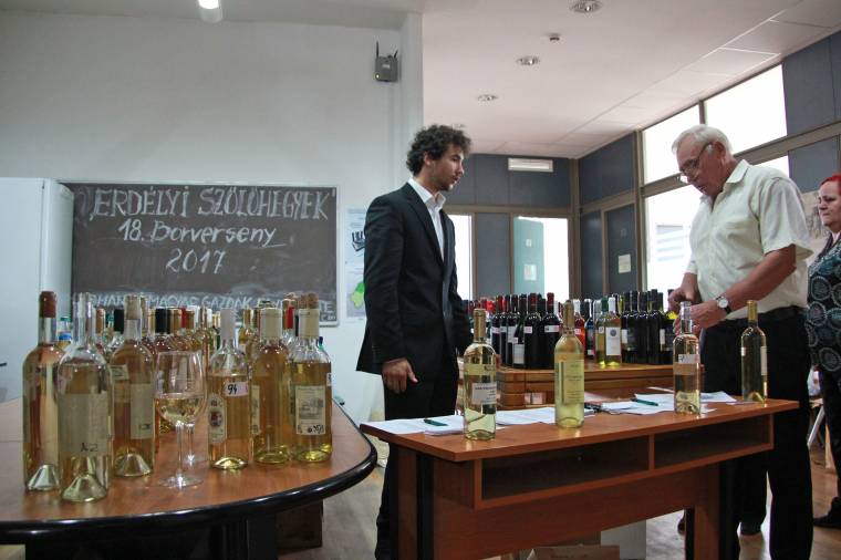 Rekordmennyiségű borfajtát értékeltek a marosvásárhelyi Sapientián
