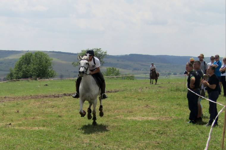 Ló és ember egybeforrt a Marosszéki Lófuttatáson