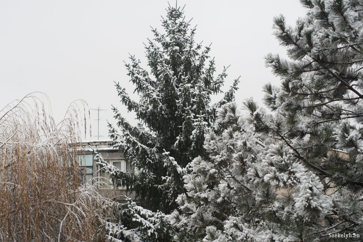 Karácsonyra lehűl az idő, szilveszterre sem jósolnak sok havat a meteorológusok