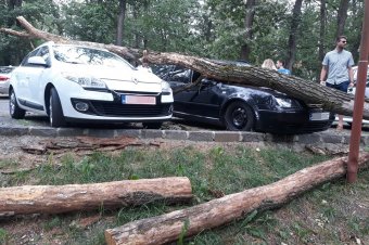 Autókra zuhant egy fa a Somostetőn
