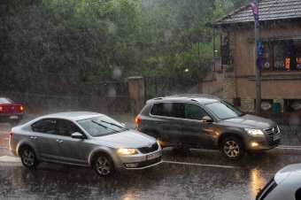 Fát, oszlopot döntött ki a vihar Maros megyében is
