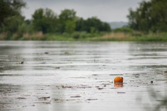 Szemétgyűjtő gátakat szerelnek fel több folyón a román–magyar határ mentén