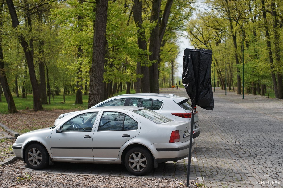 A városháza sajtószóvivője szerint nyugodtan lehet parkolni az erdőben kialakított helyekre •  Fotó: Haáz Vince