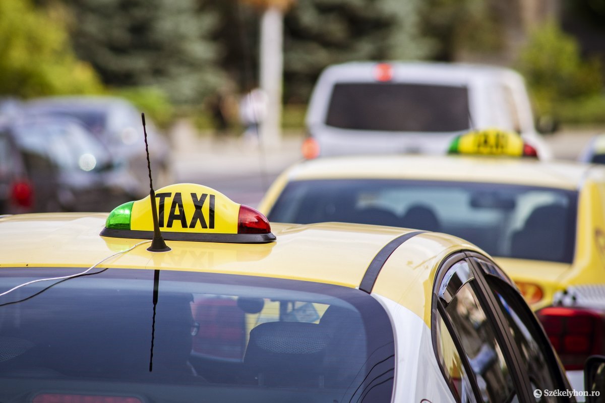 A taxis dönti el, hogy melyik fuvart vállalja be és melyiket mondja vissza