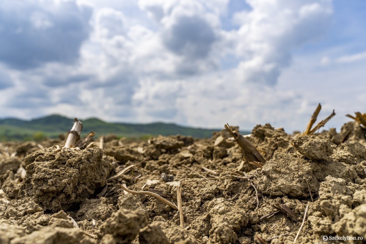 Több mint egymillió hektár termőterületet sújtott a szárazság Romániában
