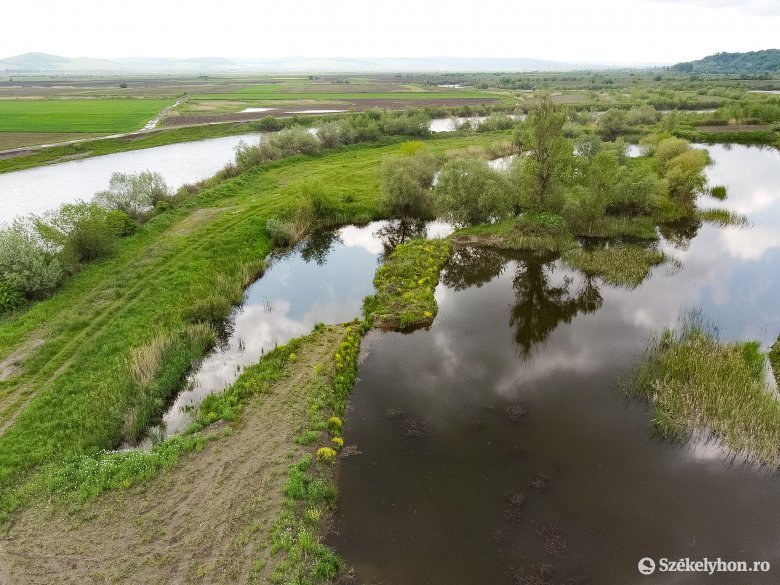 Elsőfokú árvízriasztás van érvényben Kolozs, Szilágy, Szatmár és Máramaros megyei folyószakaszokon