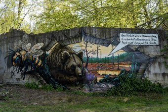 Látványos graffitikkel és molinókkal hívják fel a figyelmet a klímaváltozás hatásaira