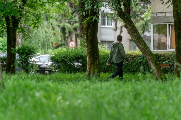 Rabok segítségével is nyírják a füvet Marosvásárhely közterein és a parkokban
