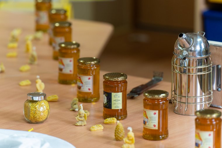 Itthon van még tiszta méz – a beporzók napját ünnepelték