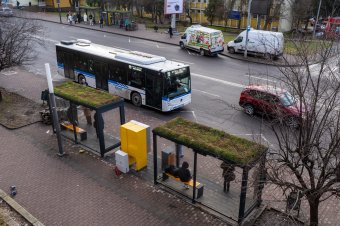 Pár guggolás egy buszjegyet érhet – Marosvásárhelyen lehet szavazni  a legjobb ötletekre