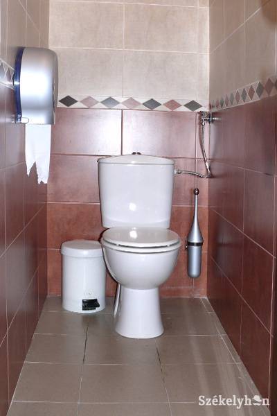 Mire is jó a WC világnapja Marosvásárhelyen?